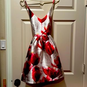 Beautiful floral L’atiste brand dress